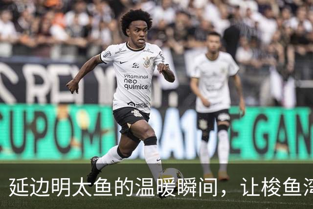 延边明太鱼的温暖瞬间，让梭鱼湾铭记